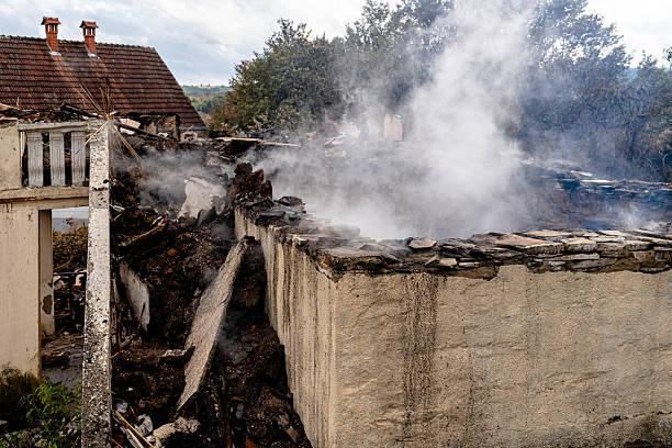 Professional Odor Removal technician working in Arlington, VA